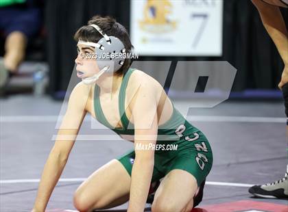 Thumbnail 1 in CIF State Championships (Boy's Pig Tail Round) photogallery.