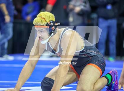 Thumbnail 3 in CIF State Championships (Boy's Pig Tail Round) photogallery.