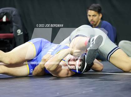 Thumbnail 1 in CIF State Championships (Boy's Pig Tail Round) photogallery.