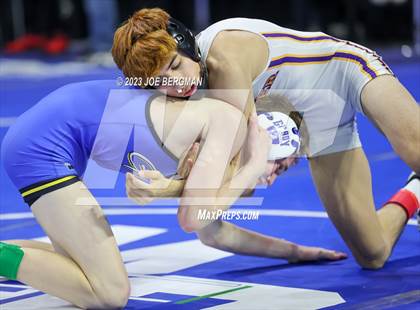 Thumbnail 3 in CIF State Championships (Boy's Pig Tail Round) photogallery.