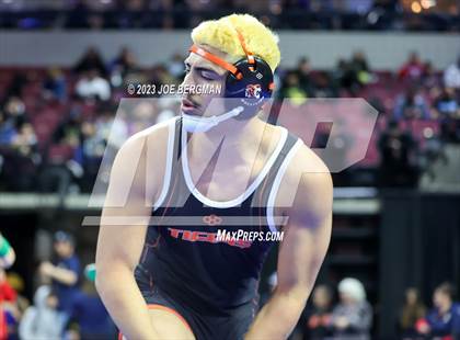 Thumbnail 2 in CIF State Championships (Boy's Pig Tail Round) photogallery.