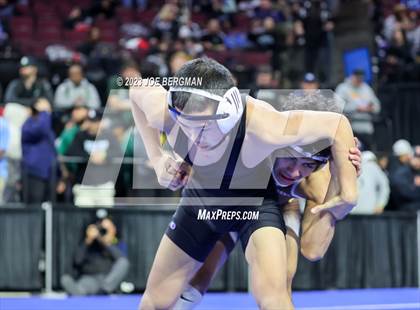 Thumbnail 1 in CIF State Championships (Boy's Pig Tail Round) photogallery.