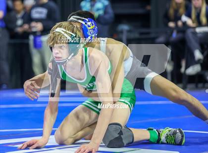 Thumbnail 1 in CIF State Championships (Boy's Pig Tail Round) photogallery.