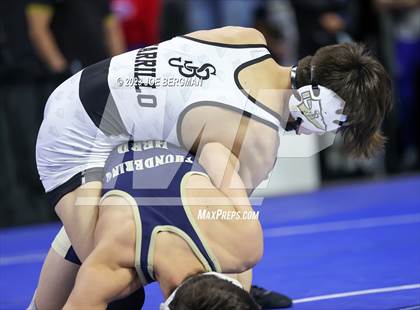 Thumbnail 3 in CIF State Championships (Boy's Pig Tail Round) photogallery.