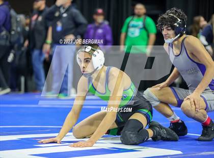 Thumbnail 3 in CIF State Championships (Boy's Pig Tail Round) photogallery.