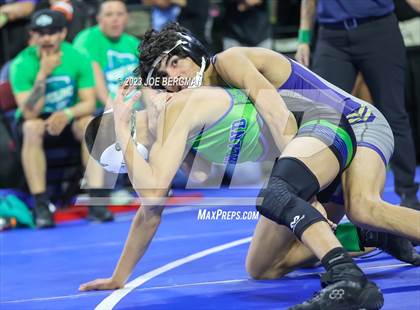 Thumbnail 2 in CIF State Championships (Boy's Pig Tail Round) photogallery.