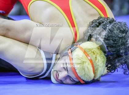 Thumbnail 3 in CIF State Championships (Boy's Pig Tail Round) photogallery.
