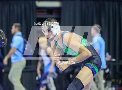Thumbnail 1 in CIF State Championships (Boy's Pig Tail Round) photogallery.