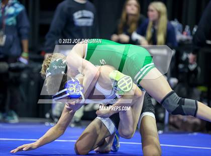 Thumbnail 1 in CIF State Championships (Boy's Pig Tail Round) photogallery.