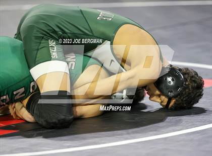 Thumbnail 2 in CIF State Championships (Boy's Pig Tail Round) photogallery.