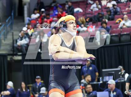 Thumbnail 1 in CIF State Championships (Boy's Pig Tail Round) photogallery.