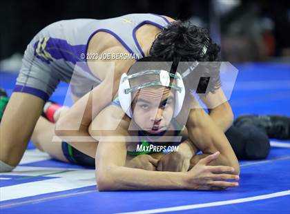 Thumbnail 1 in CIF State Championships (Boy's Pig Tail Round) photogallery.