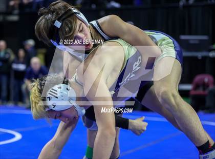 Thumbnail 2 in CIF State Championships (Boy's Pig Tail Round) photogallery.