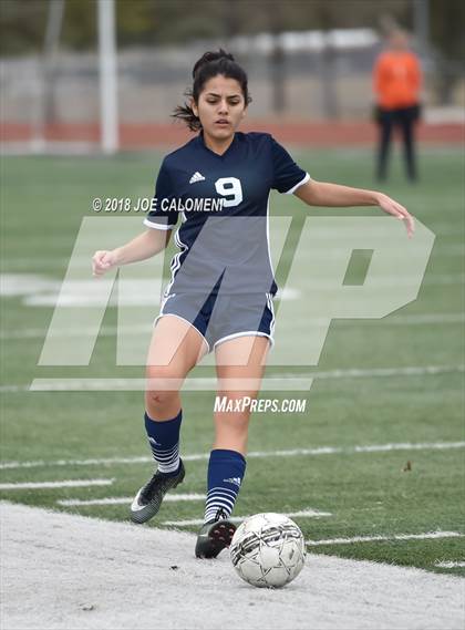 Thumbnail 1 in Hendrickson vs Steele (Steele Showcase) photogallery.