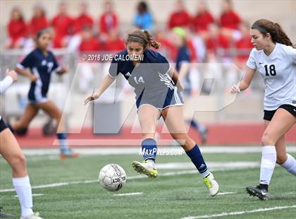 Thumbnail 1 in Hendrickson vs Steele (Steele Showcase) photogallery.