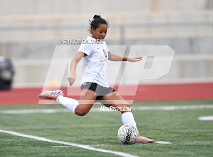 Thumbnail 1 in Hendrickson vs Steele (Steele Showcase) photogallery.