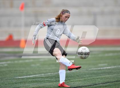 Thumbnail 1 in Hendrickson vs Steele (Steele Showcase) photogallery.
