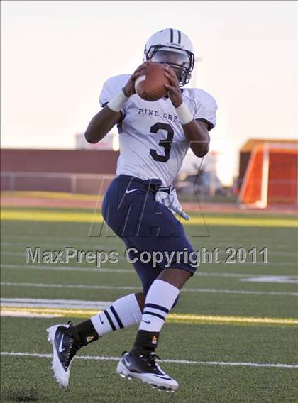 Thumbnail 2 in Pine Creek @ Rampart photogallery.