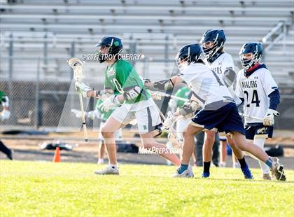 Thumbnail 2 in Weddington @ Cuthbertson photogallery.