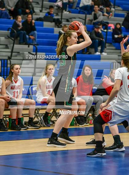 Thumbnail 1 in Madison @ Langley (Rebel Round Ball Classic) photogallery.