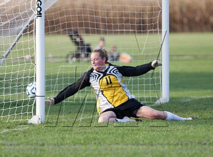 Thumbnail 3 in Whiteland at Triton Central photogallery.