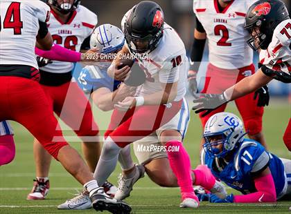 Thumbnail 3 in Lorena @ Connally photogallery.