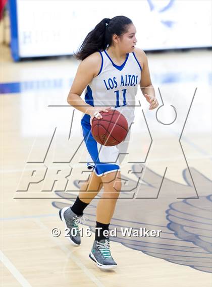 Thumbnail 1 in Wilcox @ Los Altos photogallery.
