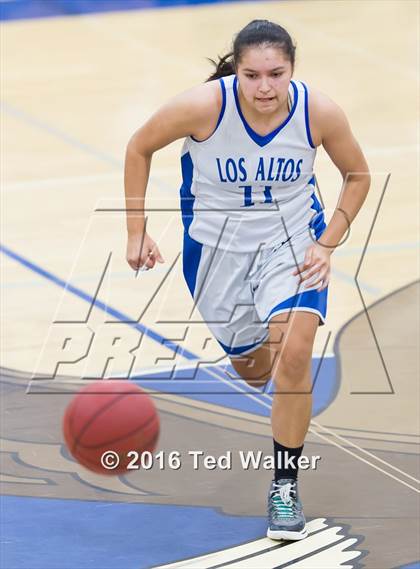 Thumbnail 1 in Wilcox @ Los Altos photogallery.
