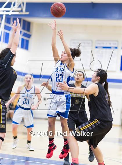 Thumbnail 3 in Wilcox @ Los Altos photogallery.