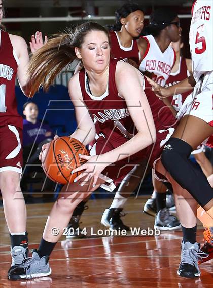 Thumbnail 3 in North Rockland vs Albertus Magnus (Slam Dunk Tournament) photogallery.