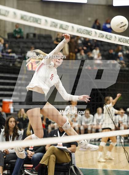 Thumbnail 1 in Mountain Ridge vs. American Fork (UHSAA 6A Second Round) photogallery.