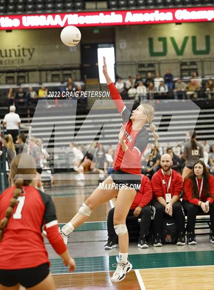 Thumbnail 2 in Mountain Ridge vs. American Fork (UHSAA 6A Second Round) photogallery.
