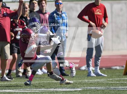 Thumbnail 3 in Denver South @ Ponderosa photogallery.