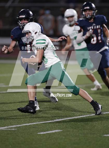 Thumbnail 3 in Cuero @ Wimberley photogallery.