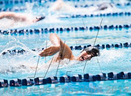 Thumbnail 1 in CHSAA 4A State Swimming & Diving Championships photogallery.