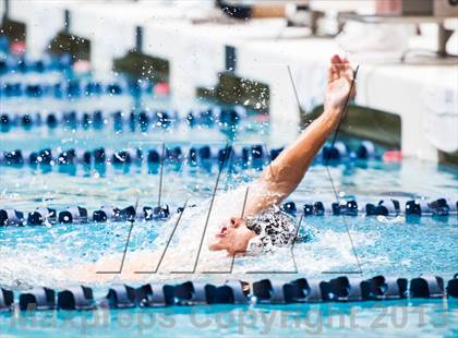 Thumbnail 2 in CHSAA 4A State Swimming & Diving Championships photogallery.