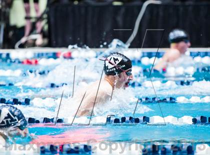 Thumbnail 2 in CHSAA 4A State Swimming & Diving Championships photogallery.