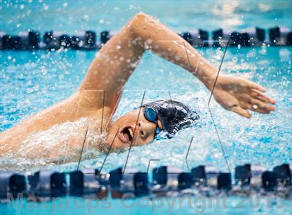 Thumbnail 2 in CHSAA 4A State Swimming & Diving Championships photogallery.