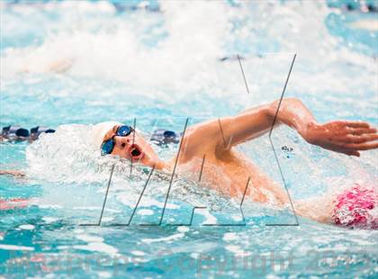Thumbnail 1 in CHSAA 4A State Swimming & Diving Championships photogallery.