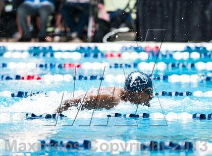 Thumbnail 3 in CHSAA 4A State Swimming & Diving Championships photogallery.