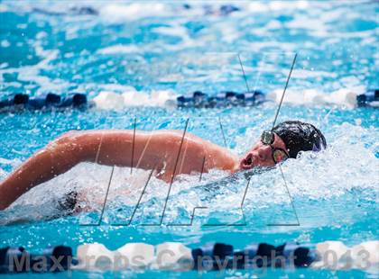 Thumbnail 1 in CHSAA 4A State Swimming & Diving Championships photogallery.