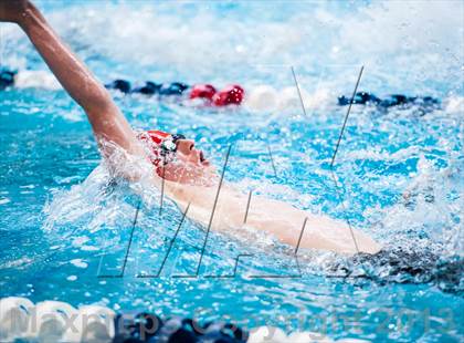 Thumbnail 2 in CHSAA 4A State Swimming & Diving Championships photogallery.