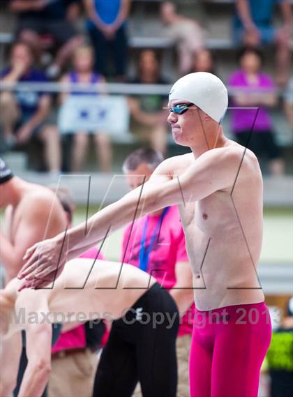 Thumbnail 2 in CHSAA 4A State Swimming & Diving Championships photogallery.