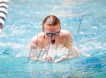 Thumbnail 1 in CHSAA 4A State Swimming & Diving Championships photogallery.