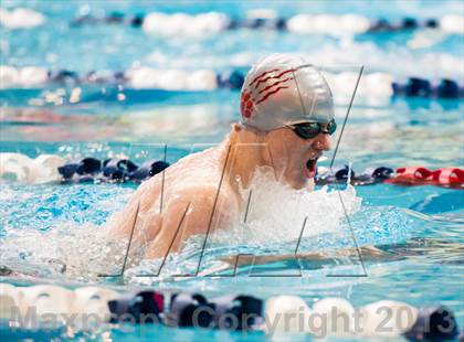 Thumbnail 1 in CHSAA 4A State Swimming & Diving Championships photogallery.