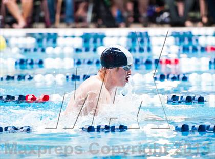 Thumbnail 3 in CHSAA 4A State Swimming & Diving Championships photogallery.