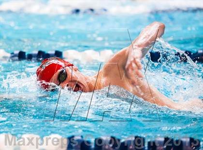 Thumbnail 2 in CHSAA 4A State Swimming & Diving Championships photogallery.