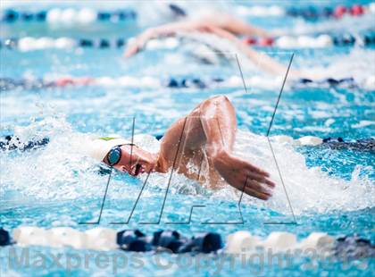 Thumbnail 1 in CHSAA 4A State Swimming & Diving Championships photogallery.