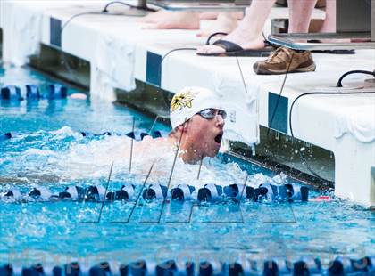 Thumbnail 2 in CHSAA 4A State Swimming & Diving Championships photogallery.