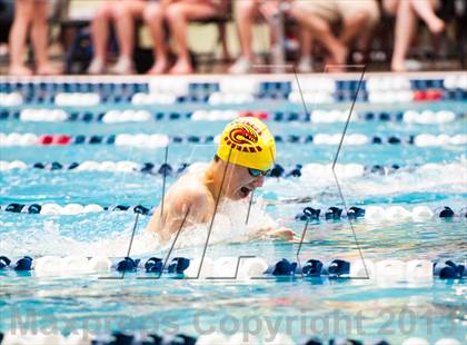 Thumbnail 3 in CHSAA 4A State Swimming & Diving Championships photogallery.